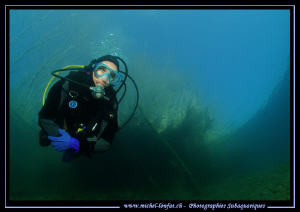Diving the clear water's of our lakes... But since a coup... by Michel Lonfat 